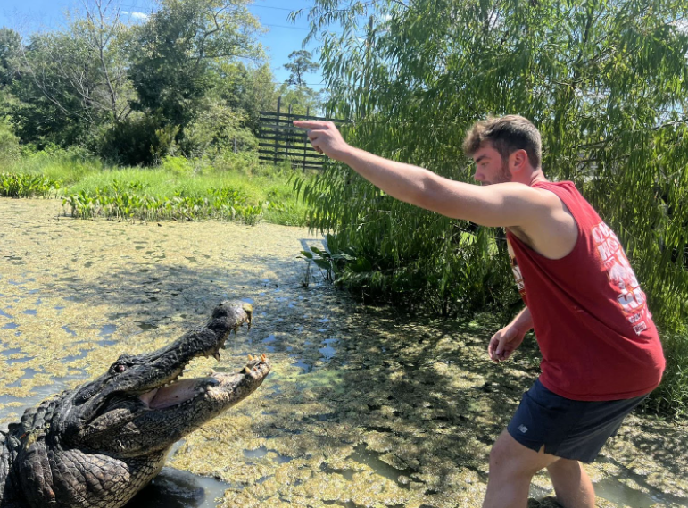 Aidan Coey hand feeds largest aligator in the world.