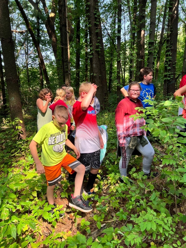 fifth graders learning about the forest